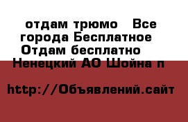 отдам трюмо - Все города Бесплатное » Отдам бесплатно   . Ненецкий АО,Шойна п.